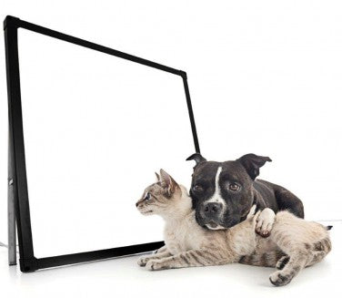 BuddyLux Group Light Therapy Paneld by Nature Bright