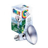 Image of Chromalux® Full Spectrum Incandescent by Lumiram