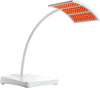 Image of RejuvaliteMD Red Light Therapy