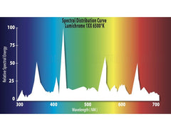 Lumichrome® 1XX Full Spectrum Fluorescent Bulb - 6500°K - 98 CRI - QTY of 25 ONLY!