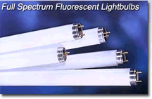 Philips F32T8 TL950 Full Spectrum Fluorescent